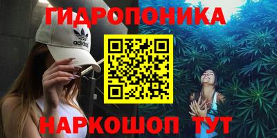 экстази Сланцы